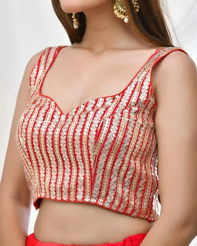 Amodini Designer Studio Gold Embellished Red Blouse